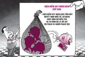 Bị bác kháng nghị, Viện Cấp cao 'cầu cứu' Viện Tối cao