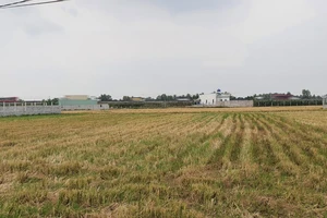 Trường hợp nào chuyển mục đích sử dụng đất mà không cần xin phép?