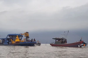 Bãi ngao “xung đột” với mỏ cát ở biển Hải Phòng