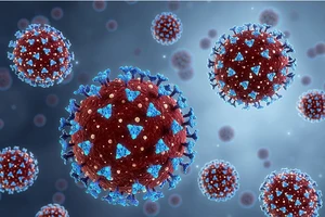 Phát hiện mới về độc tính của COVID-19 mở ra hướng điều trị mới