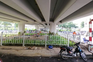 TP.HCM khẩn cấp tìm đất làm bãi đậu xe