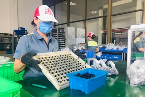 Doanh nghiệp xoay xở kiếm tiền thưởng tết