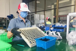 Sốt ruột chờ gói kích thích kinh tế mới