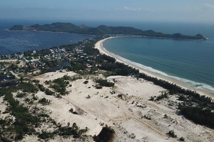 Khó trăm bề khi chuyển đất rừng làm dự án ở Phú Yên