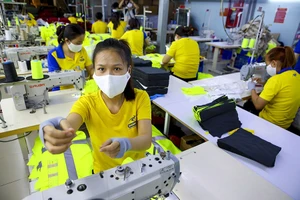 Doanh nghiệp không còn lúng túng khi phát hiện FO