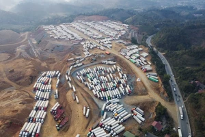 Thúc đẩy xuất khẩu nông sản qua vận tải đường biển, hàng không