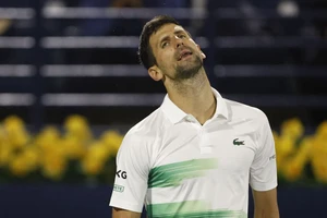 Số phận của Djokovic tại Masters 1000 Indian Wells