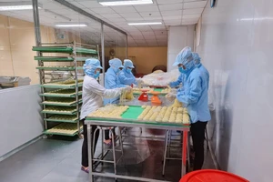 Xung đột Nga - Ukraine: Doanh nghiệp Việt tìm cách vượt khó