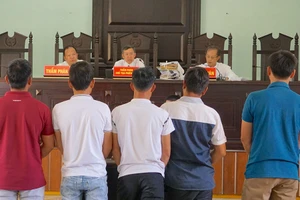 Vụ cưa gỗ khô: 'Cần trả lại sự trong sáng của pháp luật'