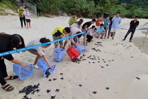 Côn Đảo sẽ thành khu du lịch tầm khu vực và quốc tế