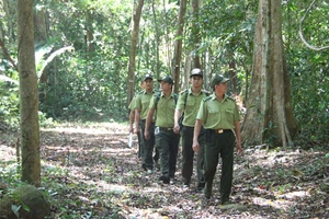 4 phương án làm cầu Mã Đà và đường nối Đồng Nai - Bình Phước