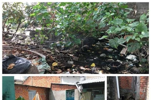 Giải quyết dứt điểm vụ lấn mương ở Thới Bình, Cần Thơ