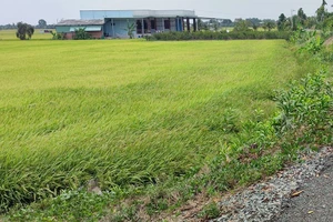 Xây dựng nhà trên đất ở nông thôn có cần phải xin phép?