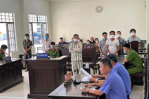 Trưởng ban quản lý rừng chỉ đạo cấp dưới tổ chức khai thác gỗ lậu