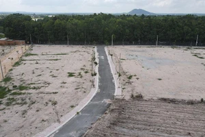 Bà Rịa-Vũng Tàu sửa quy định tách thửa đất nông nghiệp