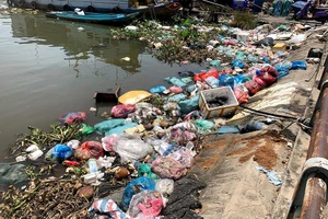 Tái diễn nạn xả rác bừa bãi