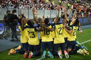 FIFA với nghi án cầu thủ Ecuador bị mua độ