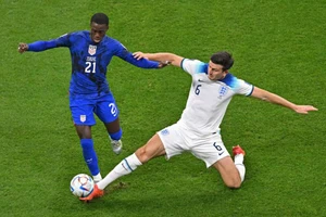 Anh 1 suất, suất còn lại Iran 60%, Mỹ 40%