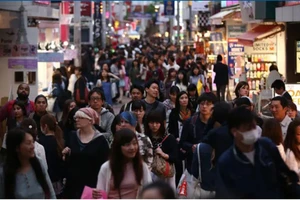 Năm ngành hàng đầu cho người tìm việc năm 2023