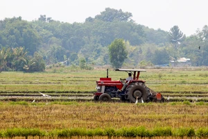 Kiến nghị HĐND TP quyết định chuyển mục đích sử dụng đất trồng lúa từ 10 ha trở lên