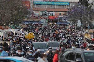 TP Đà Lạt nói về việc thay thế chợ đêm, mở casino