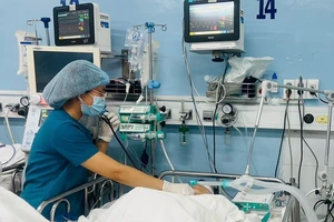 Ai phải bồi thường vụ cây bật gốc ở Trường Trần Văn Ơn?