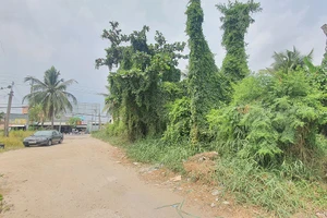 Vụ án 'Tờ bán chiết đất ruộng đi lạc'