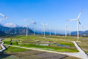 19 dự án điện gió, điện mặt trời được thống nhất giá tạm thời