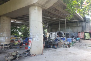 TP.HCM lên kế hoạch bảo đảm an toàn cho hàng trăm cây cầu 