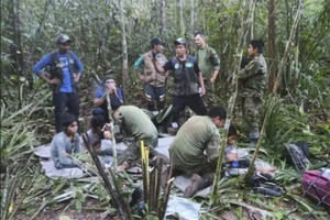 40 ngày trong rừng Amazon: 4 đứa trẻ đã sinh tồn như thế nào?