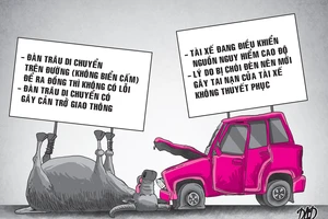 Ô tô tông chết trâu: Ai phải bồi thường?