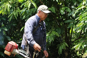 Bỗng dưng bị yêu cầu tuyên bố mất năng lực hành vi dân sự