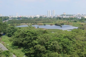 Bùn đất nạo vét từ kênh Tham Lương sẽ được kiểm định