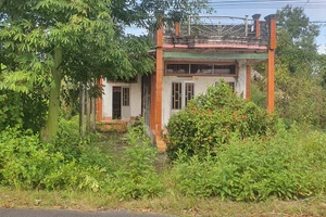 Vụ 'bán đất, không bán mai': Áp dụng pháp luật hay tập quán?