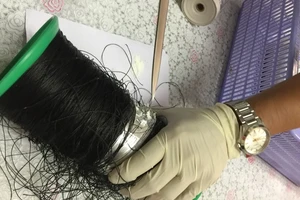 Hơn 5kg cocain 'chu du' nhiều nước rồi bị bắt ở Tân Sơn Nhất