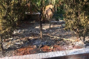 Người đàn ông tự thiêu ở công viên ngay trung tâm Sài Gòn