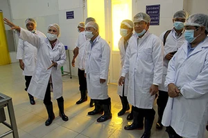 Mặt trận Tổ quốc đi giám sát an toàn thực phẩm 