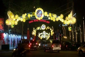 TP.HCM lung linh đèn hoa chào năm mới 2017