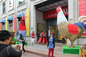 Cặp gà khổng lồ xuống phố chụp ảnh cùng người dân TP