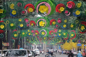 Rối mắt đoạn đường trang trí tết 2017 ở TP.HCM