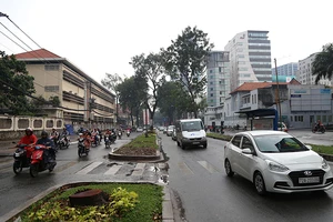 Hàng cây đường Tôn Đức Thắng trước và sau khi đốn hạ