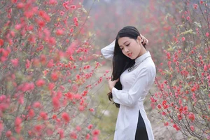 Ngắm nữ sinh 'dành cả thanh xuân chụp ảnh với áo dài'
