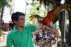 Trải nghiệm cà phê với vẹt 5.000 USD ở Sài Gòn