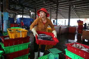 Nhịp sống hối hả ở biển Vũng Tàu trước giờ bão số 9 đổ bộ