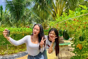 Giới trẻ trải nghiệm việc tự làm vườn và thu hoạch trái cây ở TP.HCM