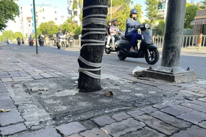 Hàng loạt cây xanh “thoi thóp”, chờ giải cứu trên đường Nguyễn Thái Sơn