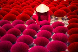 Những khoảnh khắc gây ấn tượng khi sinh viên "Đi Tìm Tết" 