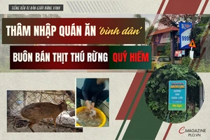 Điều tra: Bên trong các quán ăn ‘bình dân’ ở Đồng Nai rao bán 'thịt rừng 100%'