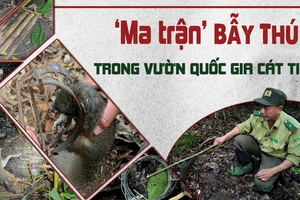 Điều tra: Mục sở thị 'ma trận' bẫy thú ở Vườn quốc gia Cát Tiên 