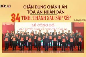 Infographic: 34 Chánh án Tòa án nhân dân các tỉnh, thành phố